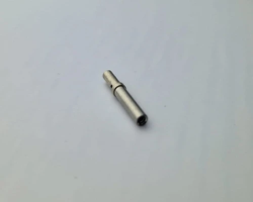 20241026_125821.jpg