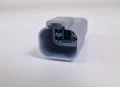20241026_094732.jpg